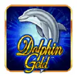 Dolphin Gold H5